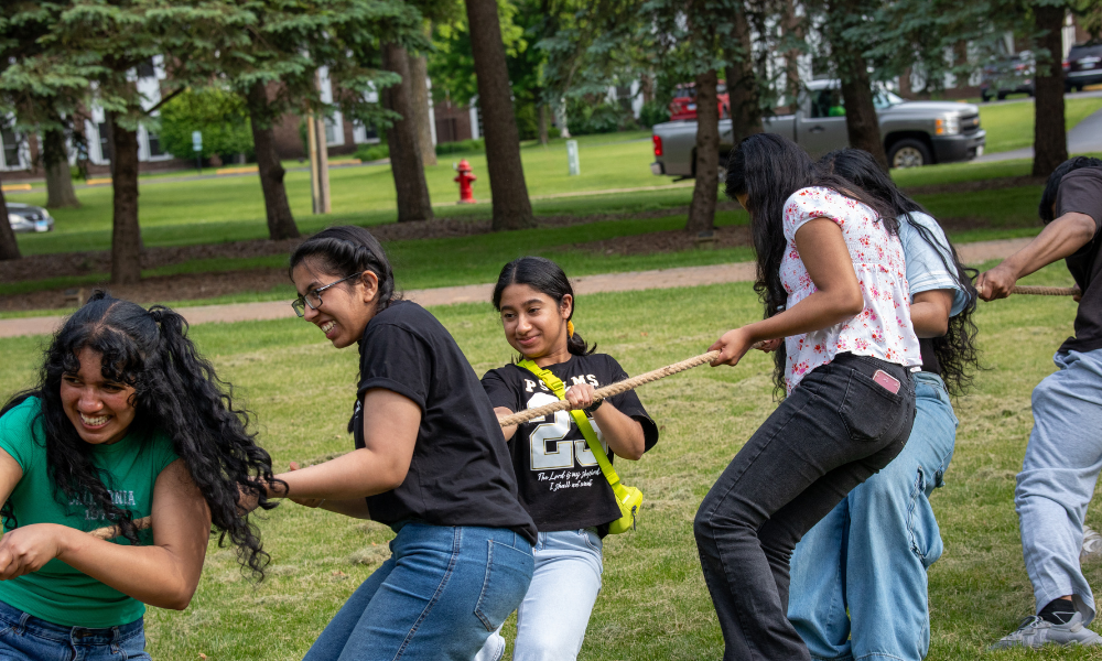 Tug of War - Picnic